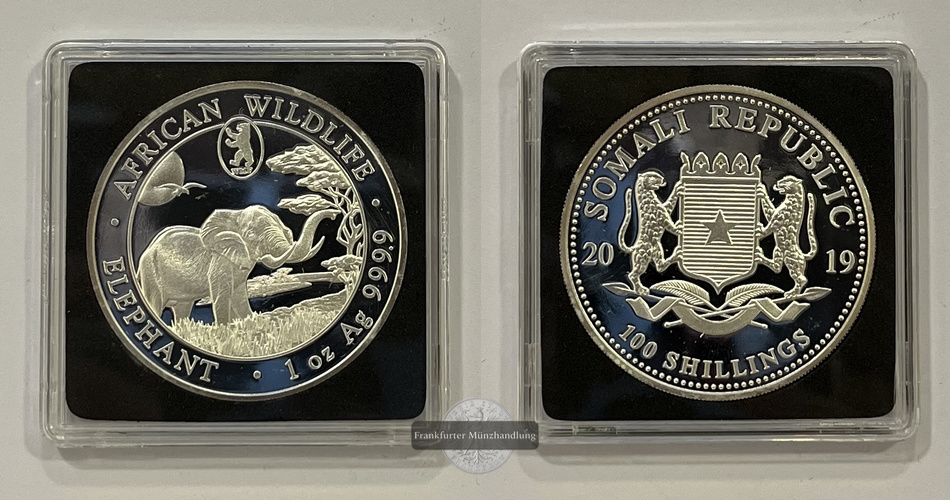  Somalia  100 Schilling 2019 African Wildlife Elephant FM-Frankfurt  Feinsilber: 31,1g   