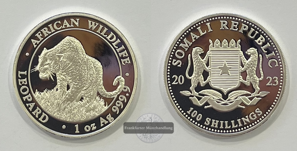  Somalia  100 Schilling 2023 African Wildlife Leopard FM-Frankfurt  Feinsilber: 31,1g   