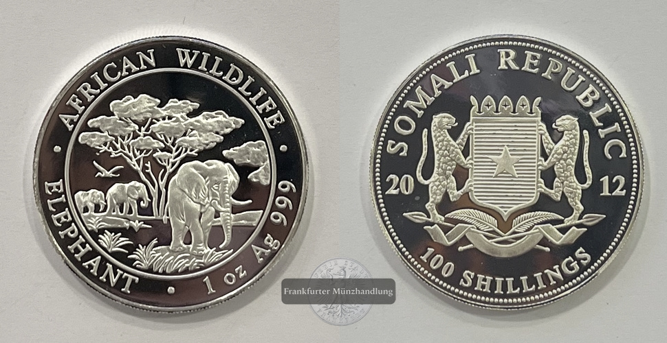  Somalia  100 Schilling 2012 African Wildlife Elephant FM-Frankfurt  Feinsilber: 31,1g   