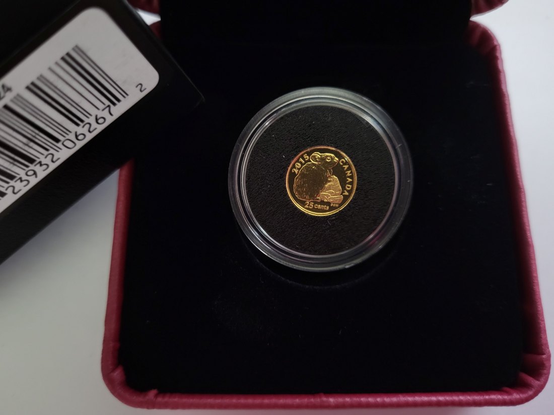  25 Cents 2015 Rock Rabbit Pfeifhase Goldmünze 0,5g 9999 Kanada Spittalgold9800 (5525   