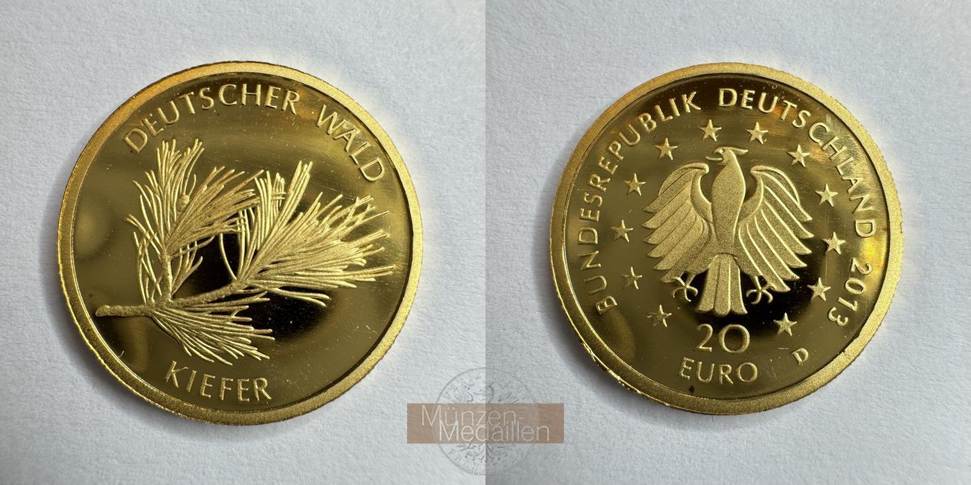 BRD  20 Euro 2013 D MM-Frankfurt  Feingold: 3,89g Deutscher Wald - Kiefer  