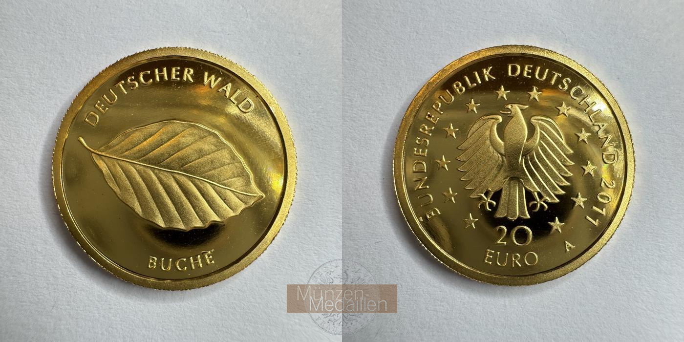 BRD  20 Euro MM-Frankfurt  Feingold: 3,89g Deutscher Wald - Buche 2011 A 