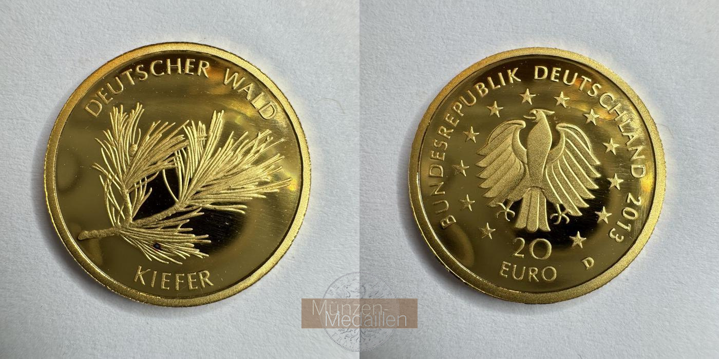 BRD  20 Euro 2013 D MM-Frankfurt  Feingold: 3,89g Deutscher Wald - Kiefer  