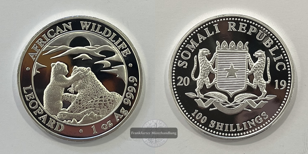  Somalia  100 Schilling 2019 African Wildlife Leopard FM-Frankfurt  Feinsilber: 31,1g   