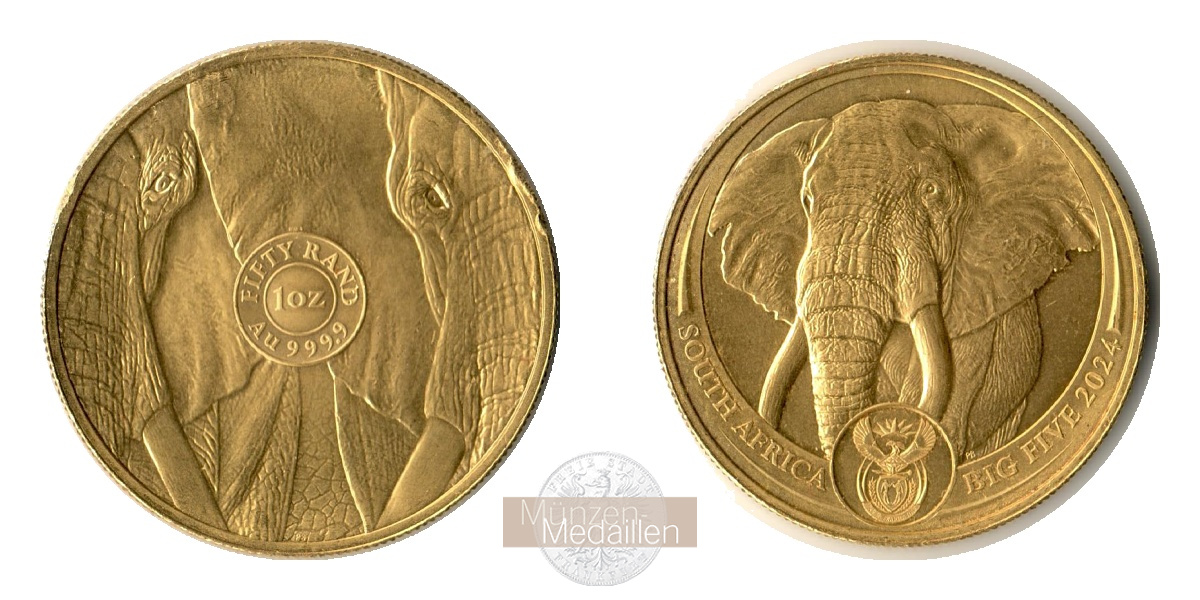 Süd Afrika MM-Frankfurt Feingold: 31,1g 50 Rand Big Five - Elephant 2024 