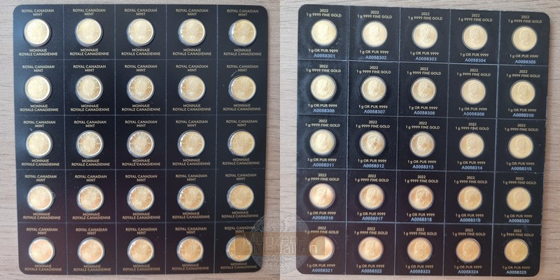 Kanada 50 Cents MM-Frankfurt  Feingold: 25g 25x1g Maplegram25 
