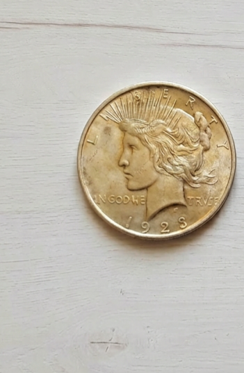  USA 1 Dollar Münze 1923   