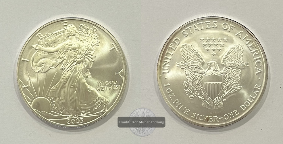  USA 1 Dollar 2005 (1986-2021) Walking Liberty FM-Frankfurt KM#273 Feinsilber: 31,1g   