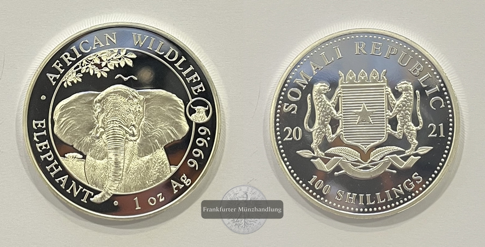  Somalia  100 Schilling 2021 African Wildlife Elephant Privy Mark FM-Frankfurt  Feinsilber: 31,1g   
