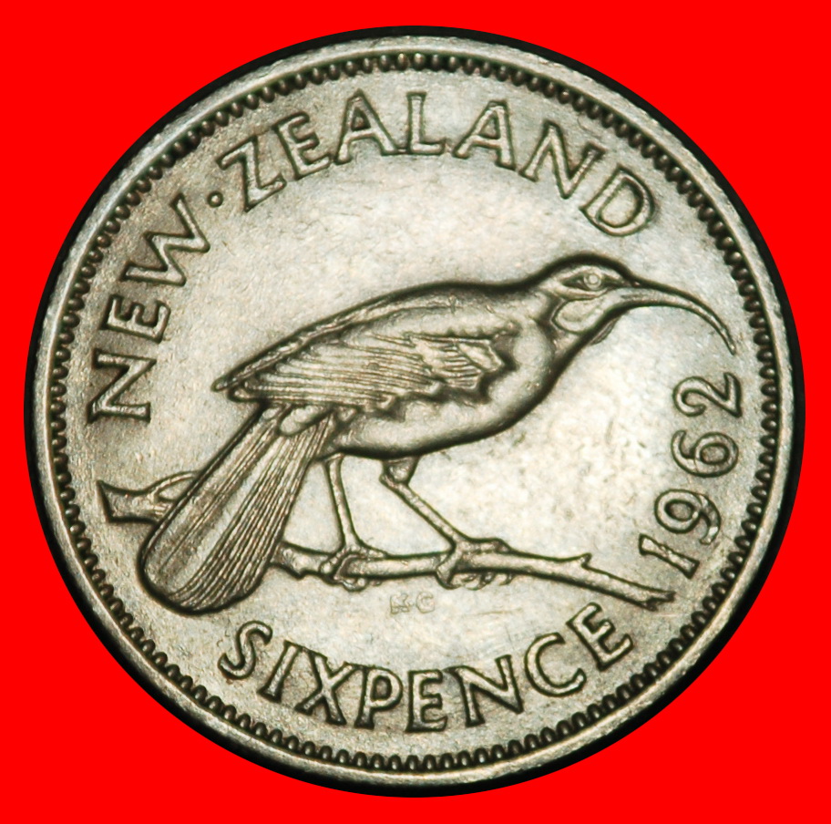Ⰶ NOT NUDE (1953-1962): NEW ZEALAND ★ 6 PENCE 1962! ELIZABETH II (1953-2022)★LOW START ★ NO RESERVE!