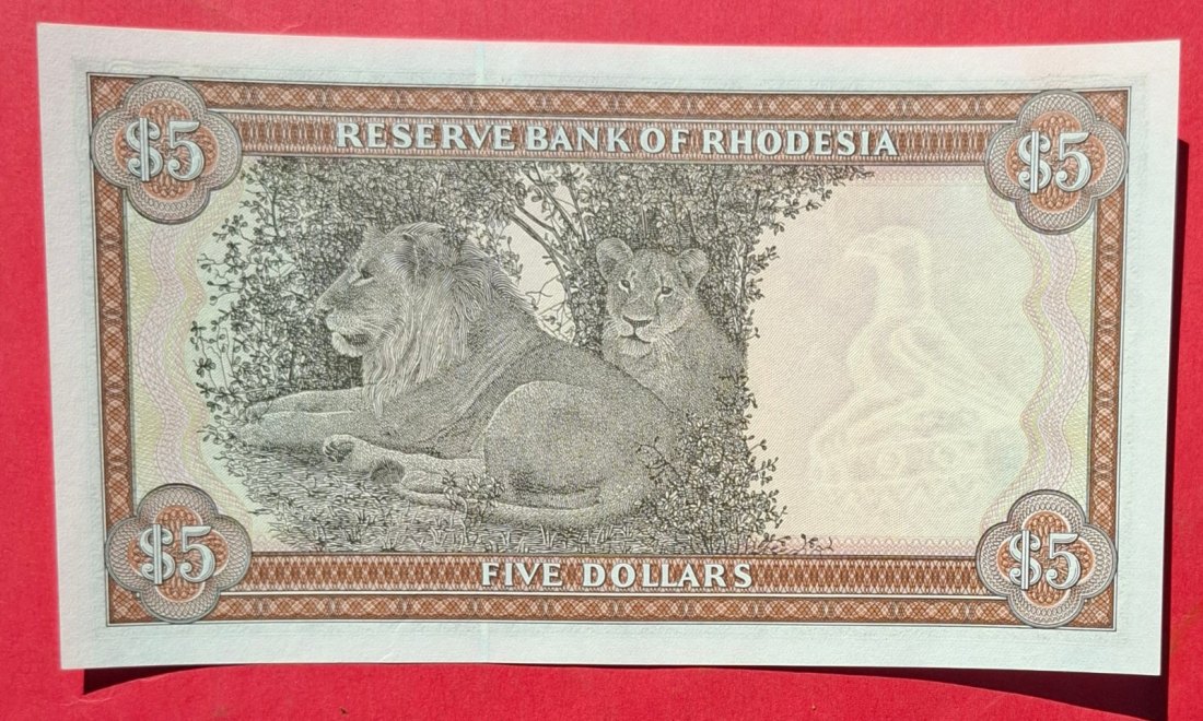  RHODESIA 5 Dollars 1979, prefix Y1, Wz. Bird, Ersatznote, ungelaufene RARITÄT   
