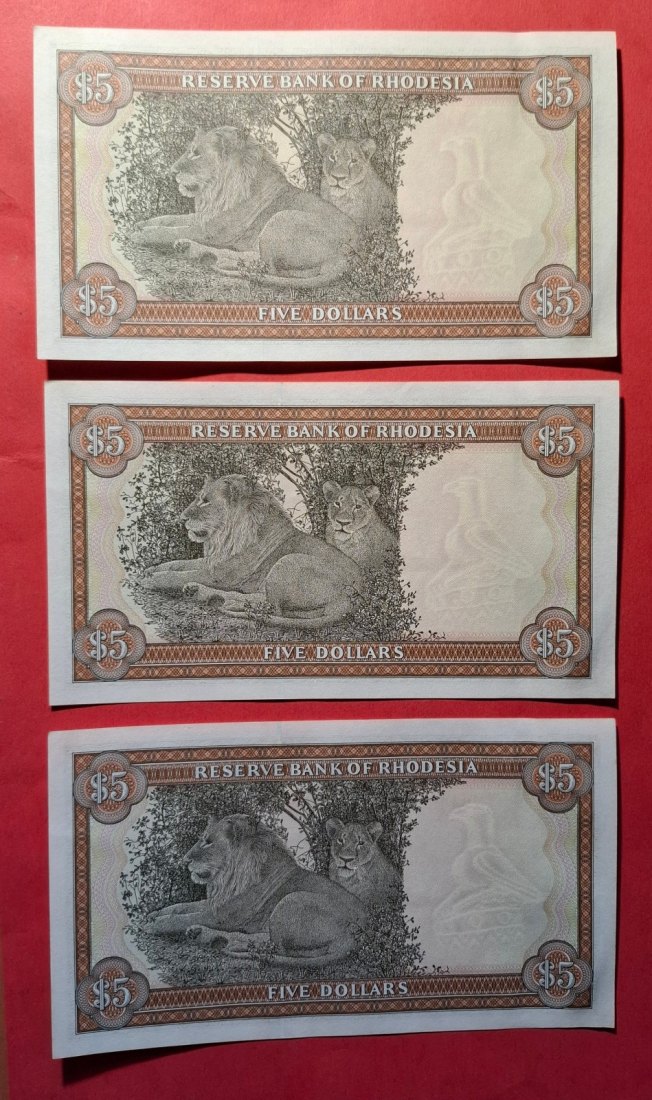  RHODESIA Drei 5 Dollars 1979 in Reihenfolge, prefix M22, Wz. Bird - Erhaltung I   