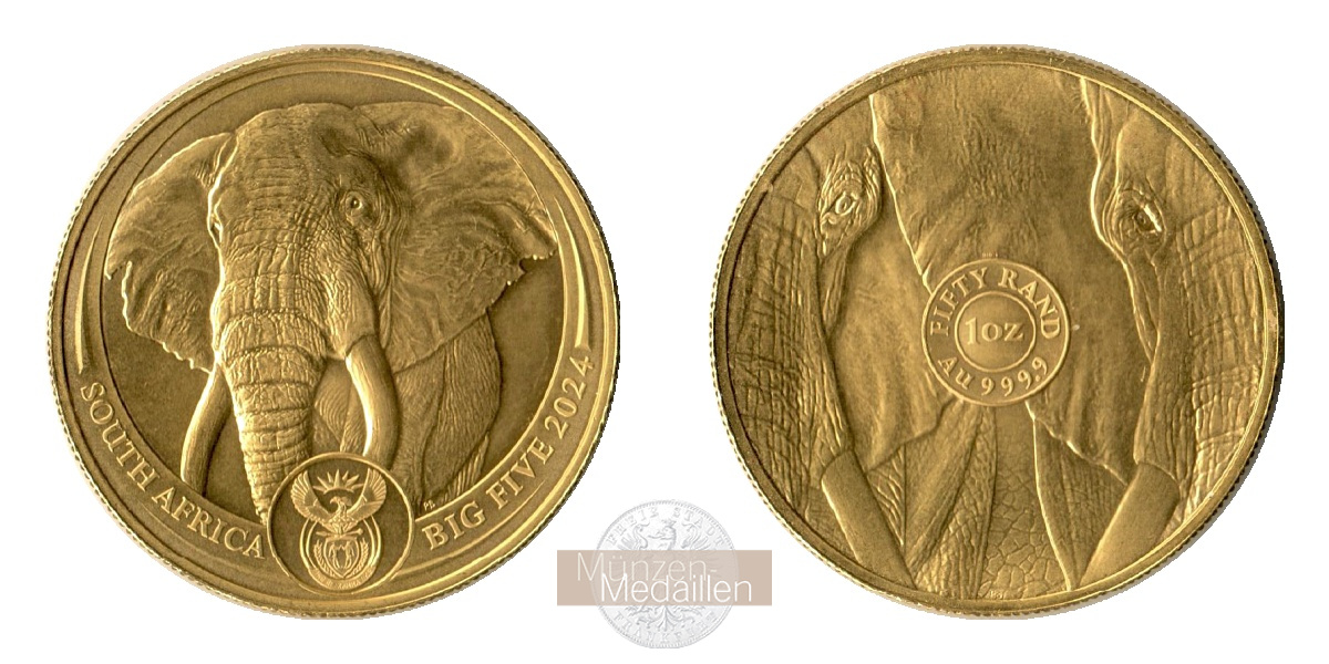 Süd Afrika MM-Frankfurt Feingold: 31,1g 50 Rand Big Five - Elephant 2024 