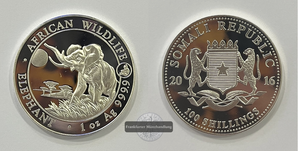  Somalia  100 Schilling 2016 African Wildlife Elephant Privy Mark FM-Frankfurt  Feinsilber: 31,1g   