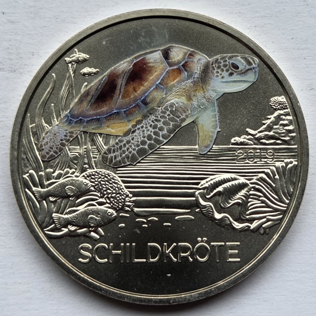  Österreich: 3 Euro Schildkröte 2019   