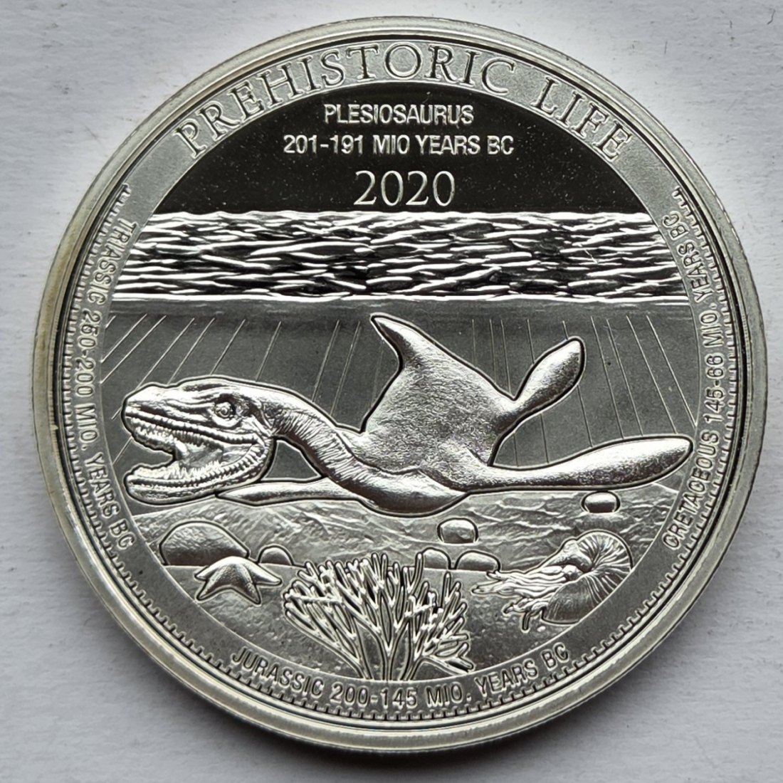  Kongo: Silberunze Plesiosaurus 2020   
