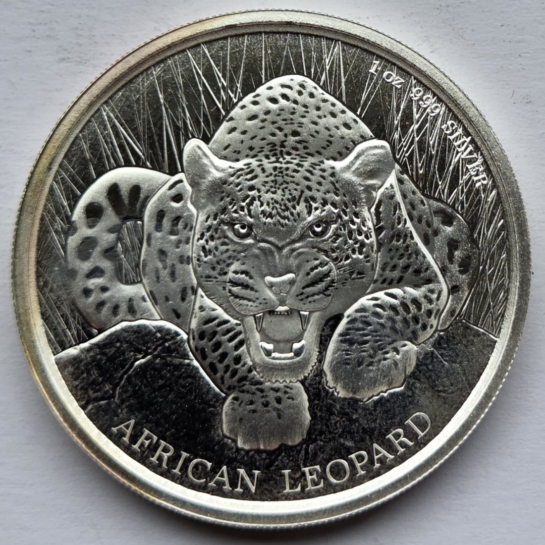  Ghana: Silberunze Leopard 2017   