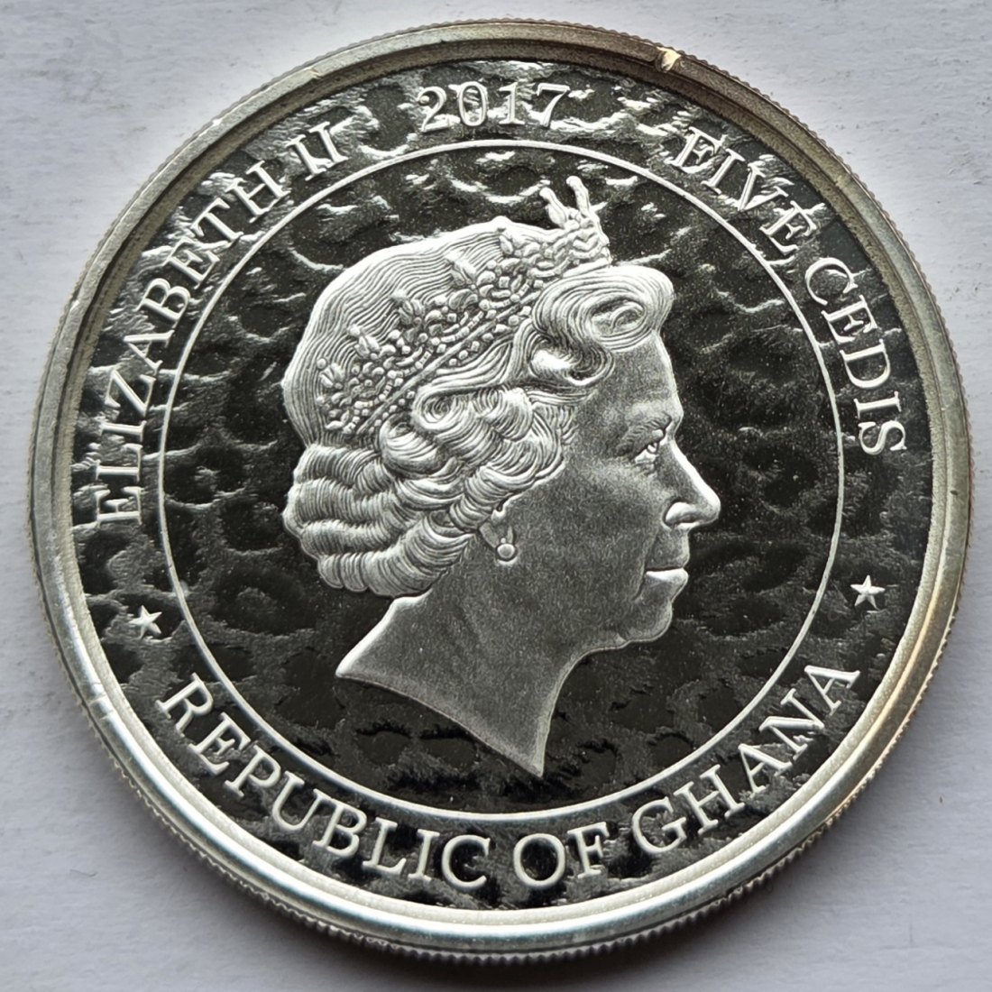  Ghana: Silberunze Leopard 2017   