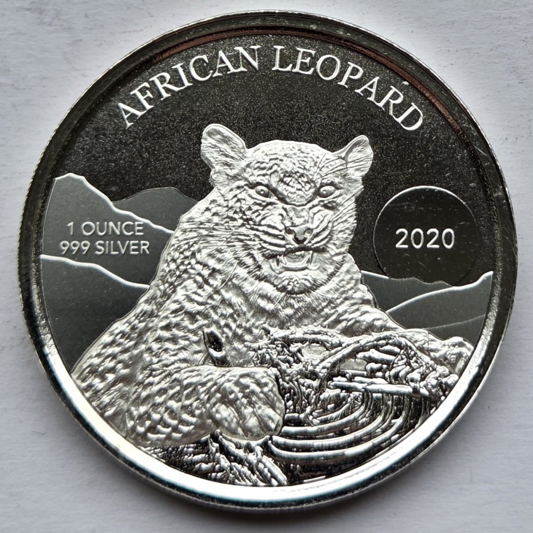  Ghana: Silberunze Leopard 2020   