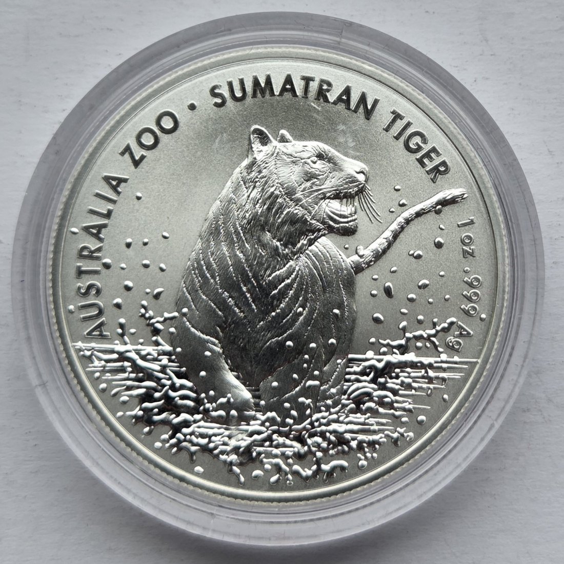  Australien: Silberunze Sumatra-Tiger 2020   