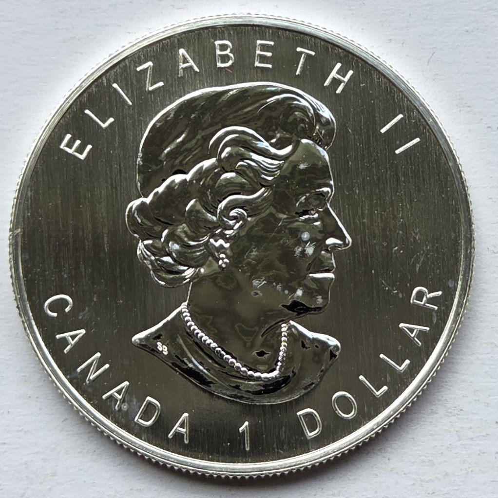  Kanada: Halbe Silberunze Timberwolf 2006   
