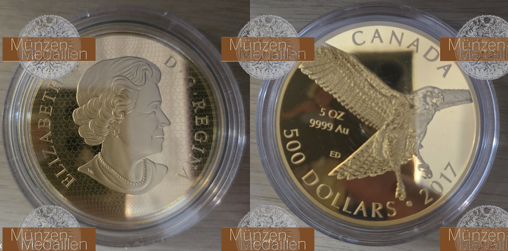 Kanada. 500 Dollar 2017 MM-Frankfurt Feingold: 156,06g Rotschwanzbussard