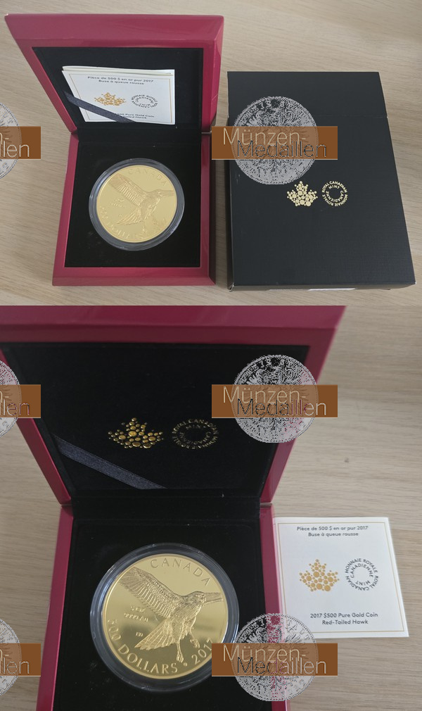 Kanada. 500 Dollar 2017 MM-Frankfurt Feingold: 156,06g Rotschwanzbussard  
