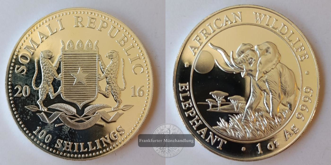  Somalia  100 Schilling 2016 African Wildlife Elephant FM-Frankfurt  Feinsilber: 31,1g   
