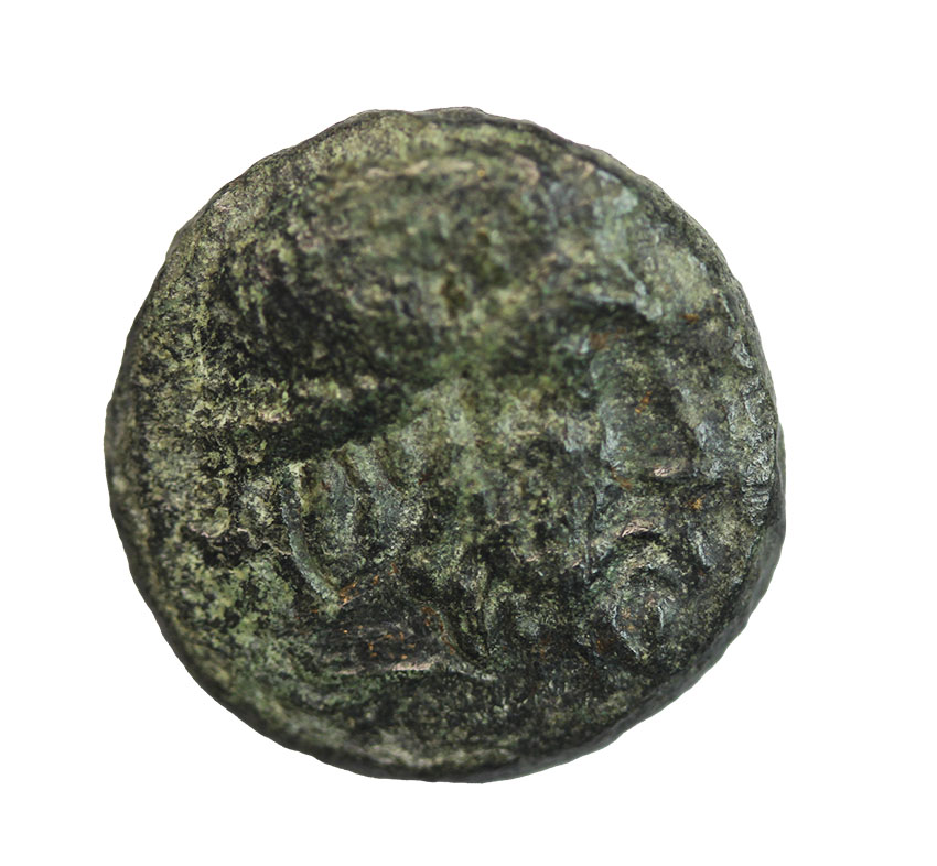  Seuthes III. King of Thrace 330-300 BC,AE ca.18 mm, 4,76 g.   