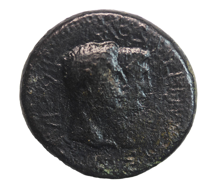  Augustus and Rhoemetalces/Pythodoris ca.11-12 AD,AE ca.23 mm, 7,87 g.   