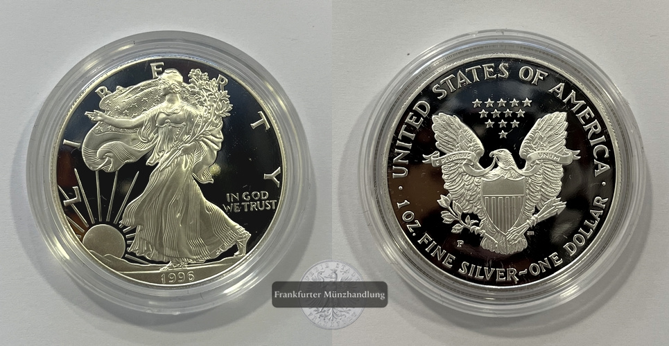  USA 1 Dollar 1996 Walking Liberty P (Philadelphia) KM#273 FM-Frankfurt Feinsilber: 31,1g   