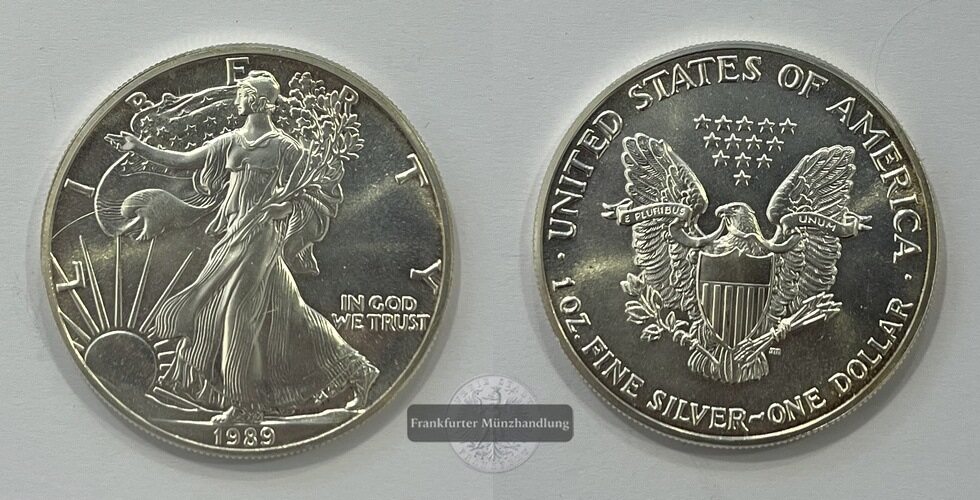 USA 1 Dollar 1989 Walking Liberty  KM#273  FM-Frankfurt Feinsilber: 31,1g   
