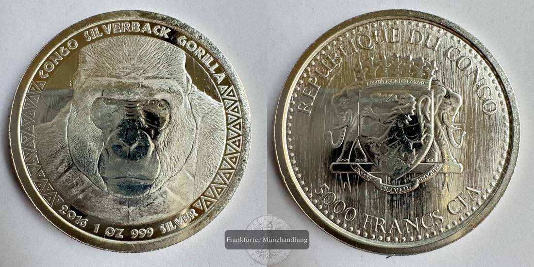  Kongo  5000  Francs CFA  2016 - Silberrücken Gorilla   FM-Frankfurt  Feinsilber: 31,1g   