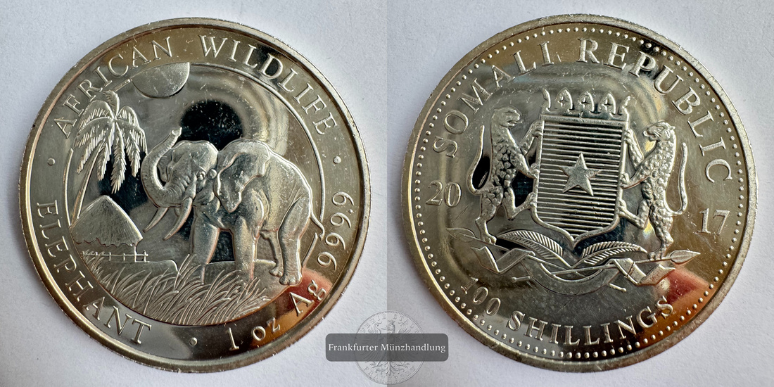  Somalia  100 Schilling 2017 African Wildlife Elephant FM-Frankfurt  Feinsilber: 31,1g   