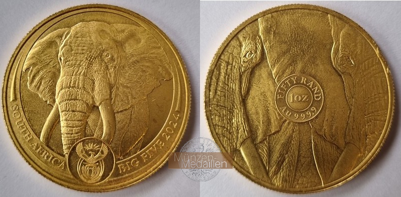 Süd Afrika MM-Frankfurt Feingold: 31,1g 50 Rand Big Five - Elephant 2024 