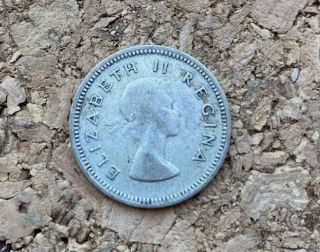  SILBER - Südafrika 3 Pence 1954 Elizabeth II.   