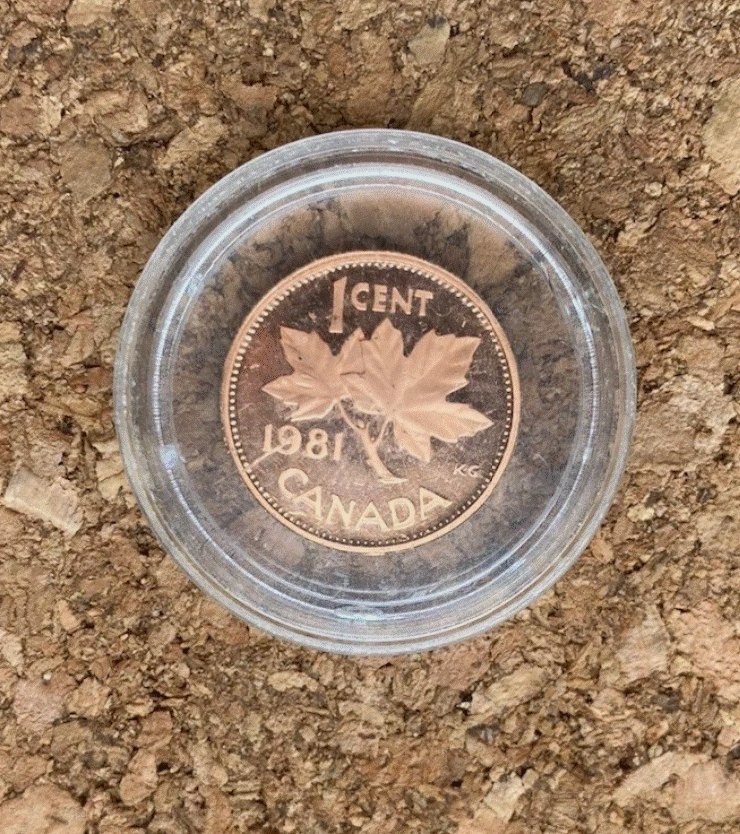 Teilen Kanada 1 Cent 1981 - Elizabeth II - Ahornblatt Maple Leaf - In Kapsel TOP   