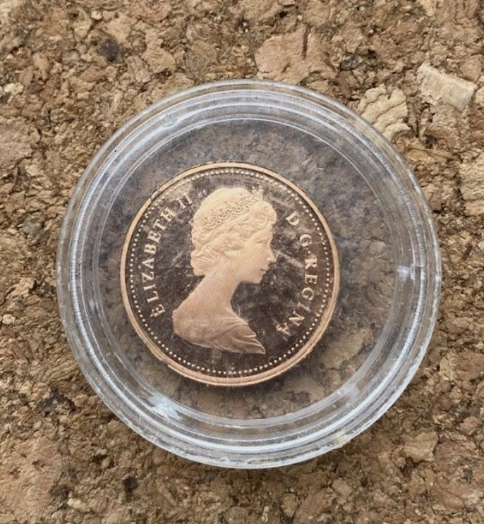  Teilen Kanada 1 Cent 1981 - Elizabeth II - Ahornblatt Maple Leaf - In Kapsel TOP   