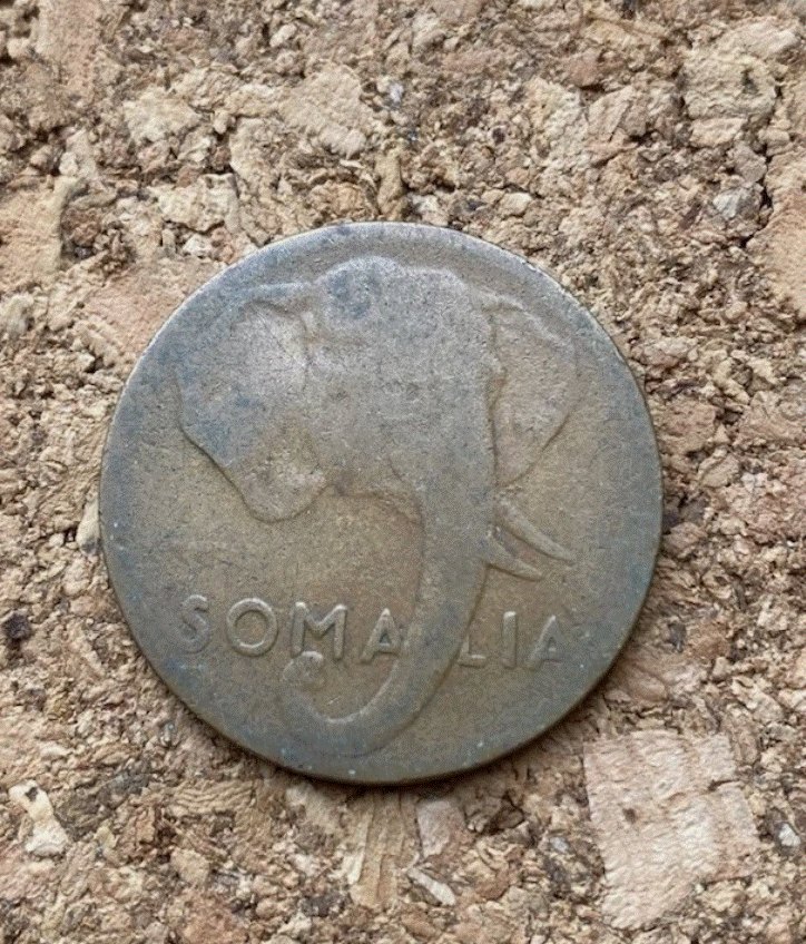  Somalia 5 Centesimi 1950 Roma - Elefant / Elephant - Seltene Kolonialmünze   