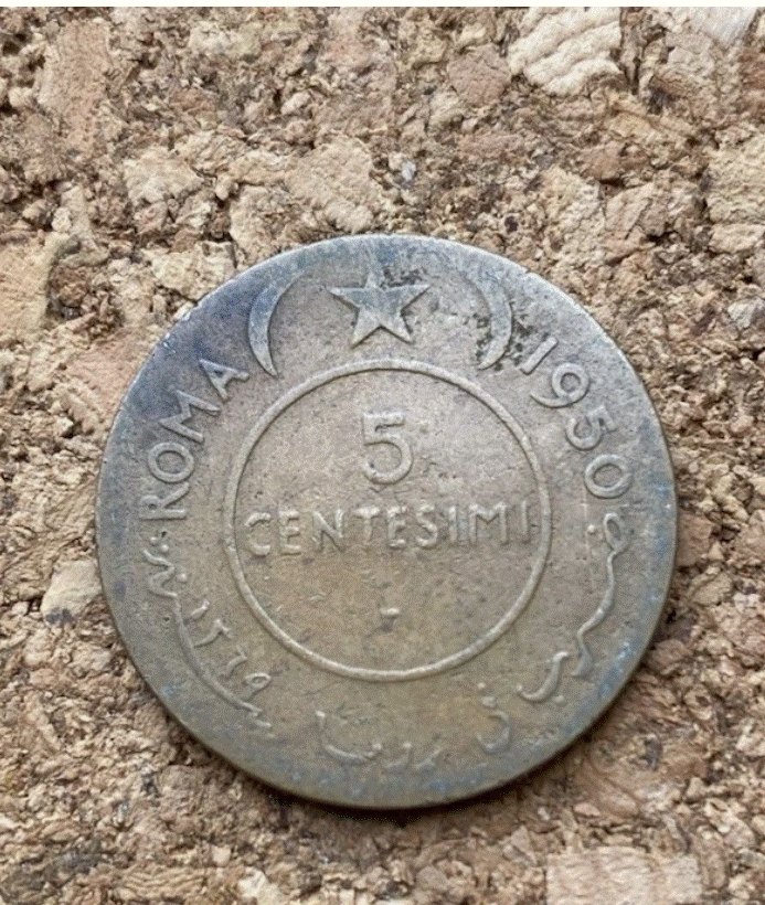  Somalia 5 Centesimi 1950 Roma - Elefant / Elephant - Seltene Kolonialmünze   