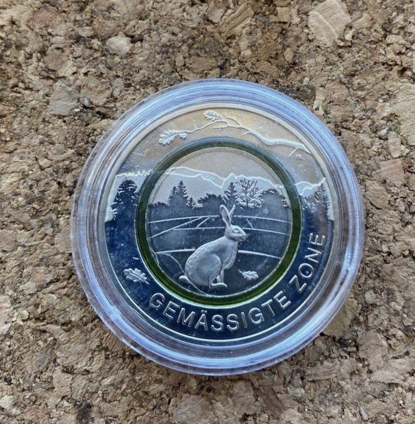  5 Euro 2019 D Gemäßigte Zone - Grüner Polymerring - in Kapsel   