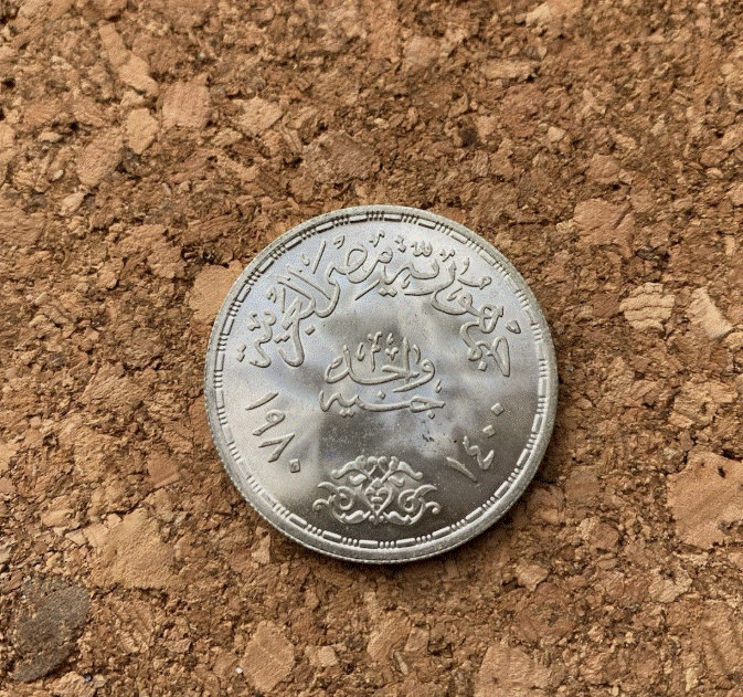  Silber - 1 Pfund Ägypten 1980 - FAO Landwirtschaft - 15g (.720 Silber)   