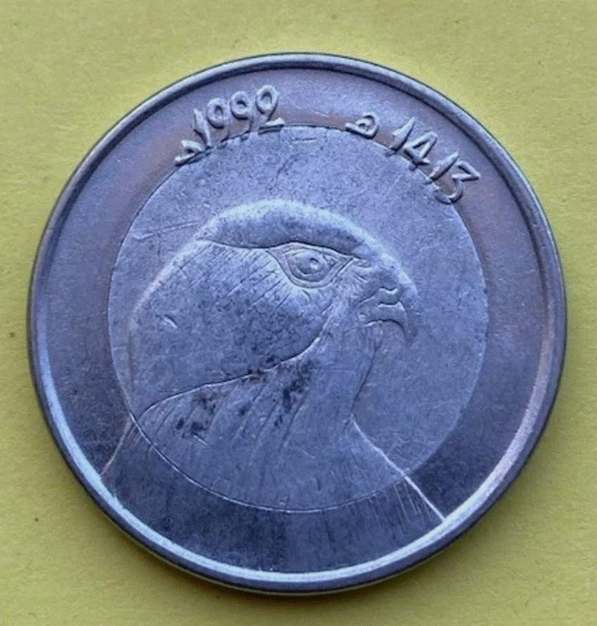  Algerien 10 Dinars 1992 (AH 1413) - Wüstenfalke Greifvogel - Schöne Tiermünze   