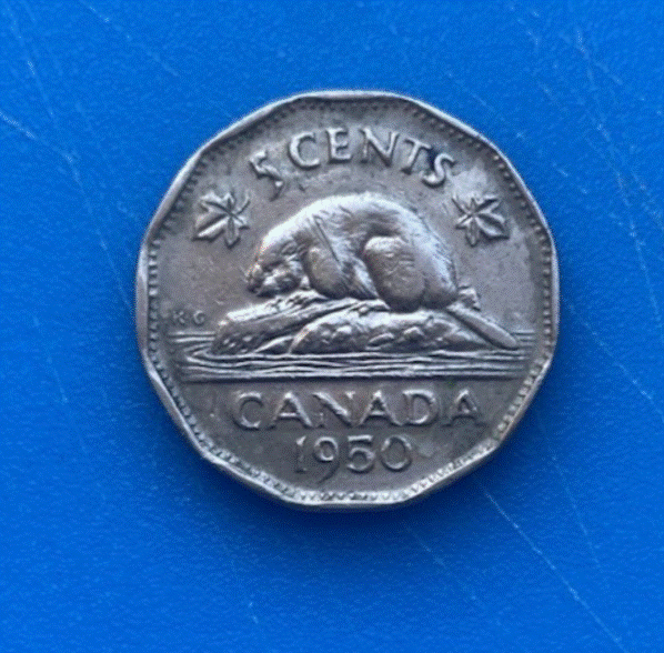  Kanada 5 Cents 1950 George VI Biber   