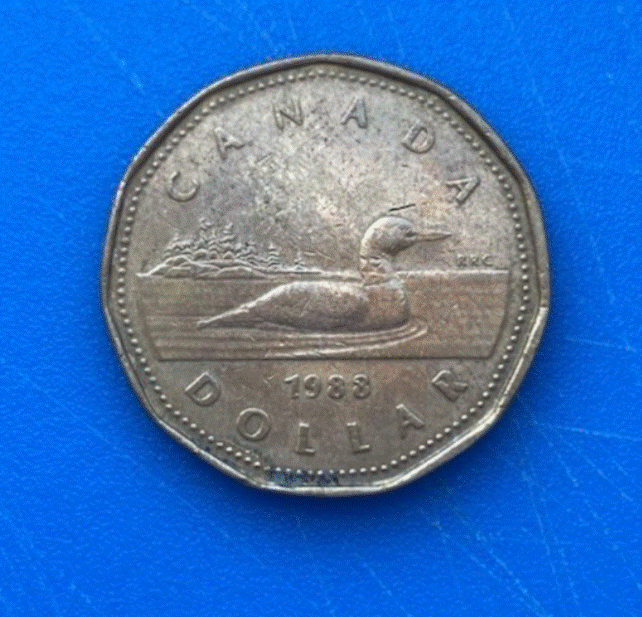  Kanada Elizabeth II 1 Dollar  1988 Loonie   