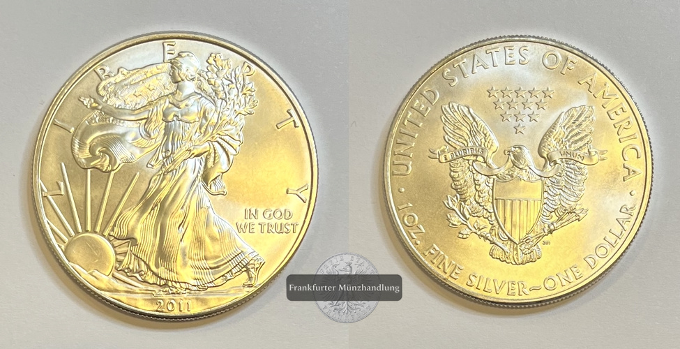  USA 1 Dollar  2011 American Eagle  FM-Frankfurt Feinsilber: 31,1g   