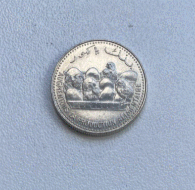  Komoren 25 Francs 1982 Münze FAO Banque Centrale des Comores   