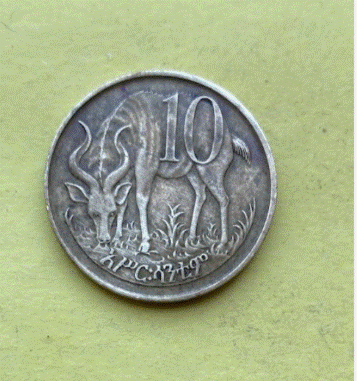  Äthiopien 10 Santim /  10 Centimes 1981 | Bergnyala   