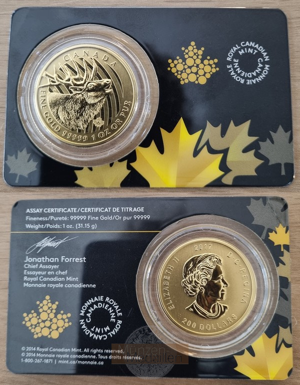 Kanada MM-Frankfurt Feingold: 31,1g 200 Dollar - Rothirsch 2017 