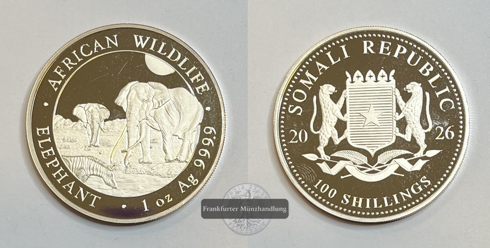  Somalia  100 Schilling 2026 African Wildlife Elephant FM-Frankfurt  Feinsilber: 31,1g   